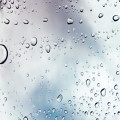 Waarom ruikt regen zo lekker op warm asfalt?
