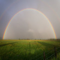 Hoe werkt een regenboog? Uitleg over de kleuren en het natuurverschijnsel