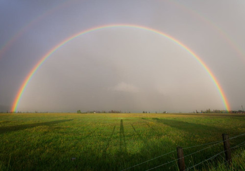Hoe werkt een regenboog? Uitleg over de kleuren en het natuurverschijnsel