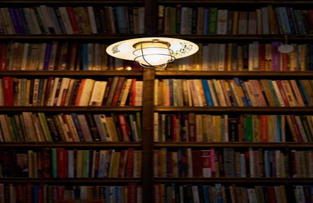 Wat is het verschil tussen een roman en een novelle?