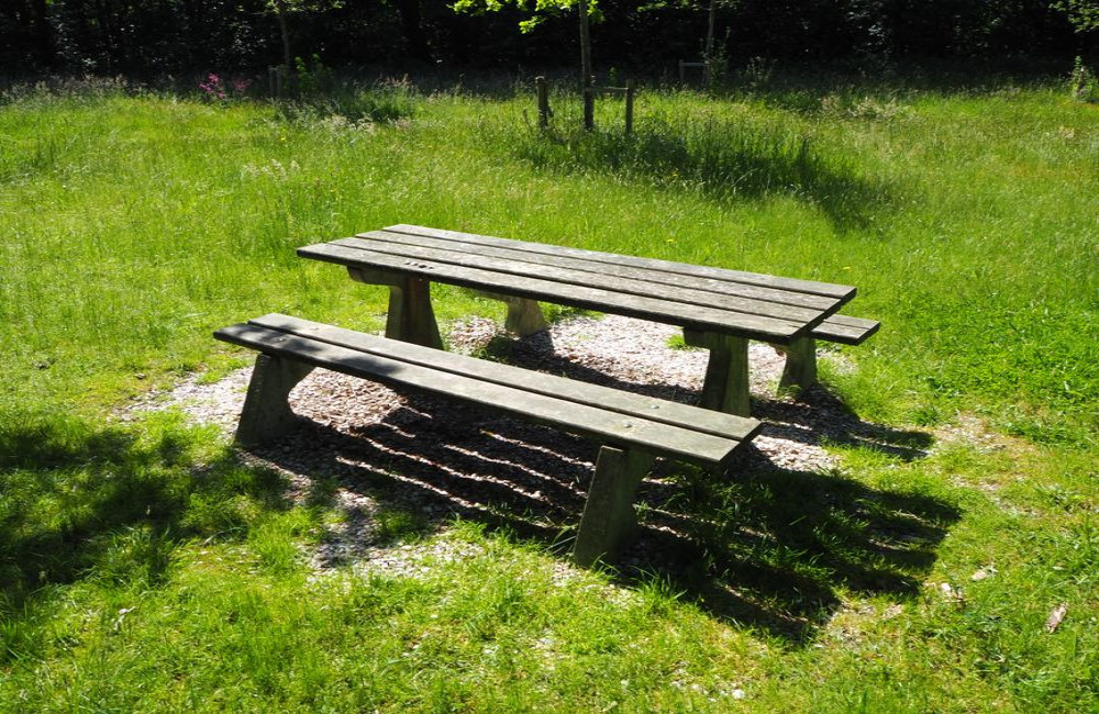 Hoe houd je wespen weg van de eettafel op het terras in augustus?