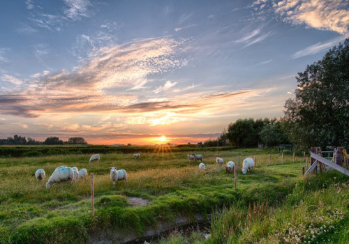 Op vakantie in Friesland? Bekijk het laatste nieuws via Waldnet nieuws vandaag