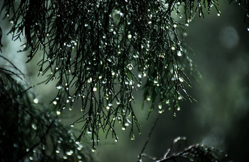 Waarom is het geluid van regen zo rustgevend en ontspannend?